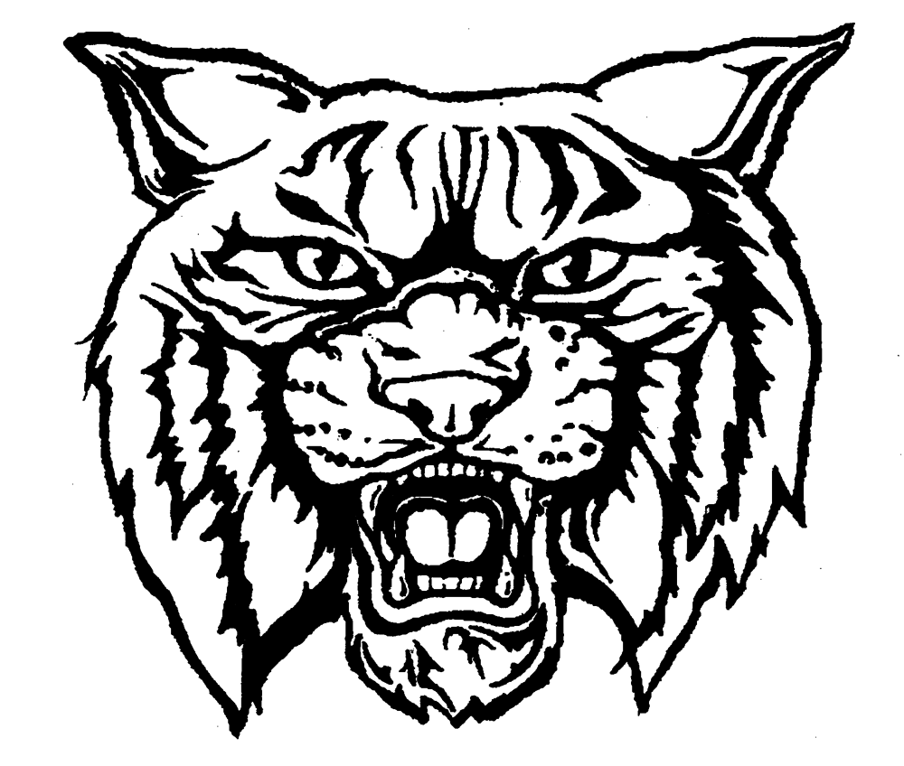Big Teams Website